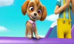 小汪汪吃瓜娱乐说,揭秘娱乐圈幕后故事